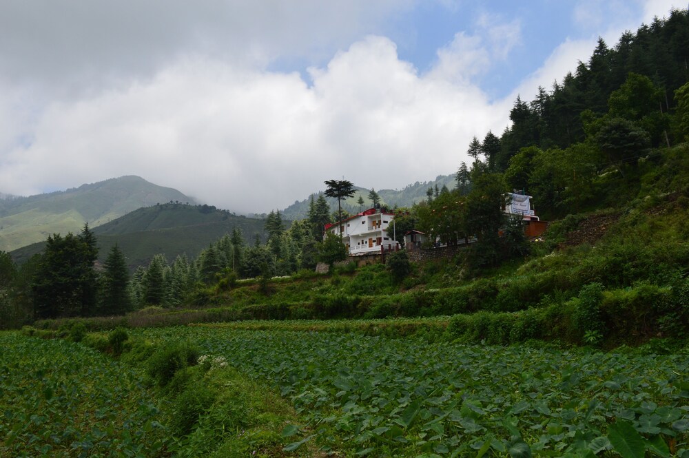 Hotel Burans And Restaurant