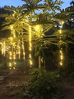 Bee Lucky Homestay