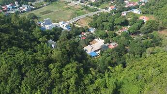 Bee Lucky Homestay