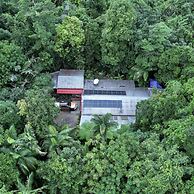 Tropical Bliss BNB