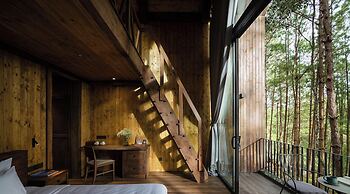 Mơ Stay Forest Resort