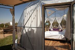 Glamping Skies