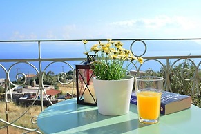 Aegina Colors