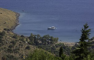Aegina Colors