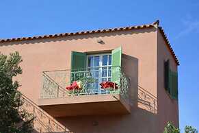 Aegina Colors