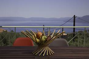 Aegina Colors