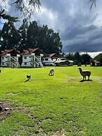 RESORT ALAPA