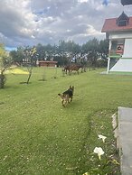 RESORT ALAPA