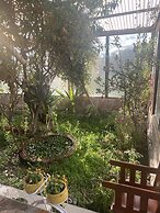RESORT ALAPA