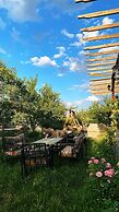 Panda Garden House