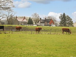 Dove Meadows House