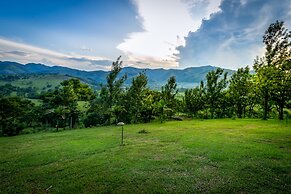 THE CRESTED CRANE BWINDI HOTEL