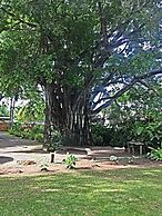 Villas Playa Palo Seco
