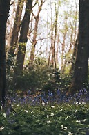 Dog Friendly Shepherd's Hut, Perfect for Couples