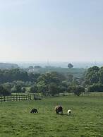 Dog Friendly Shepherd's Hut, Perfect for Couples
