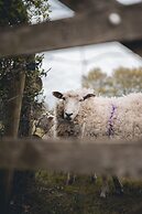 Dog Friendly Shepherd's Hut, Perfect for Couples