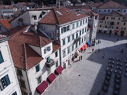Kotor Nest