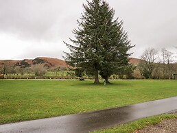 The Bay Tree