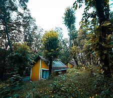 The Earthen Nest