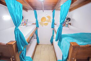 SPRING HOSTEL
