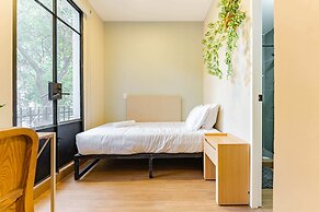 Casa Danubio Reforma by VH