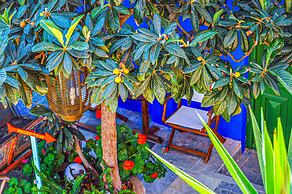 Symi Garden Studios