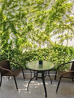 Elena SeaFront Luxury Apartments