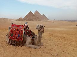 STEPS IN Pyramids View
