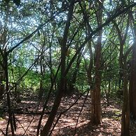 Eden Grand