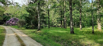 Sublimes hébergements en coeur de forêt