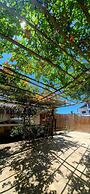 Oasis de Vichayito