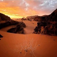 sand camp wadi rum