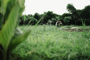 Kutani Bagh Sariska