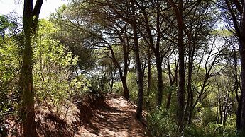 Monte Sardinha