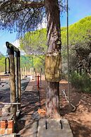 Monte Sardinha