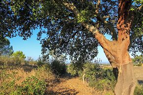 Monte Sardinha