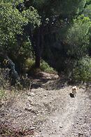 Monte Sardinha