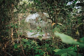Glamping amazonas