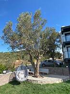 Assos Luna Houses
