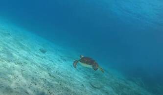 Turtle Bay Holiday - Sleeps 4, Pools & Sea View