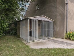 The Cwtch