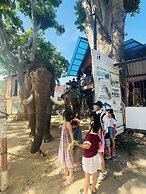 Nha Nghi Van Long Elephants