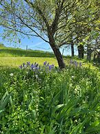 Domaine Labouroume