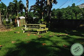 Areca Palms