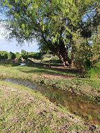 Viento Andino