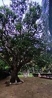 Finca Hotel La Estancia