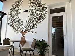 Deer Hotel & Hostel