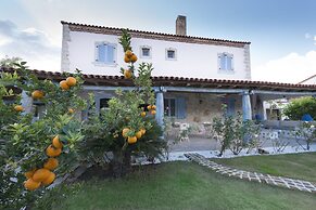 Moy Otel