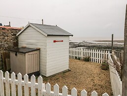 Oyster Catchers