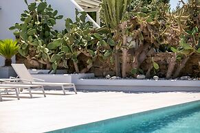 Mykonos Town Villa